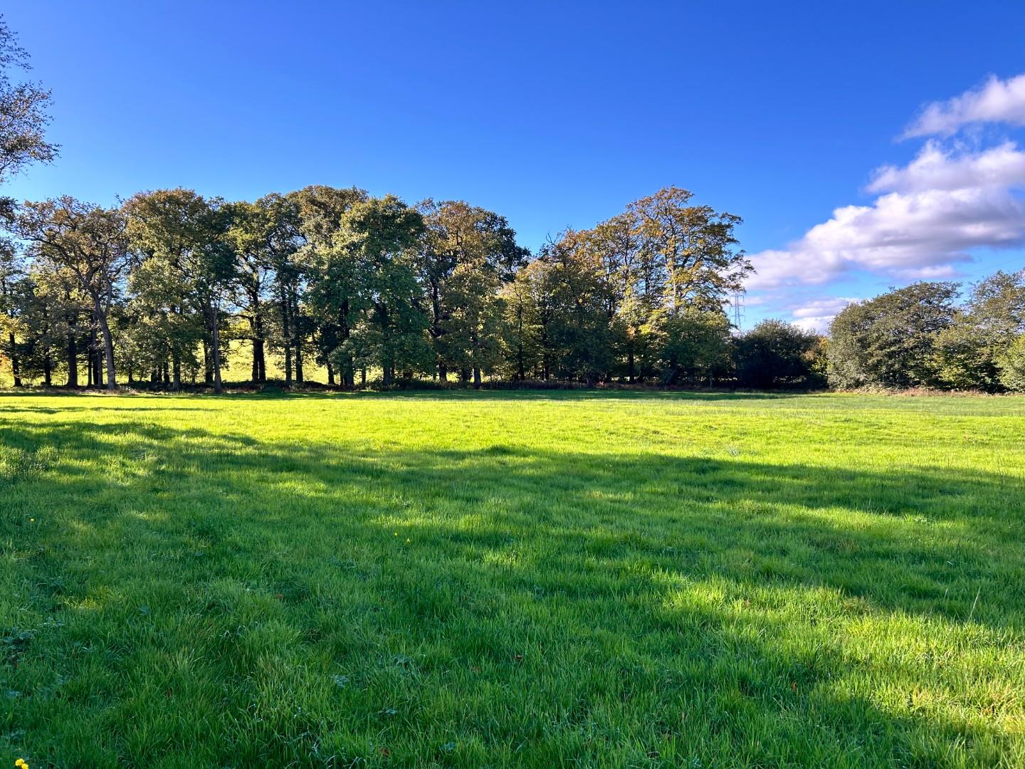 Lot 2: Approximately 6.61 Acres of Land, Llwynrhyddid Farm, Hensol